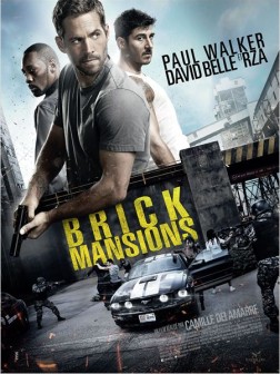 Brick Mansions (2013)